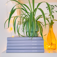 Afbeelding in Gallery-weergave laden, STUDIO FONKEL PLANNER ONGEDATEERD